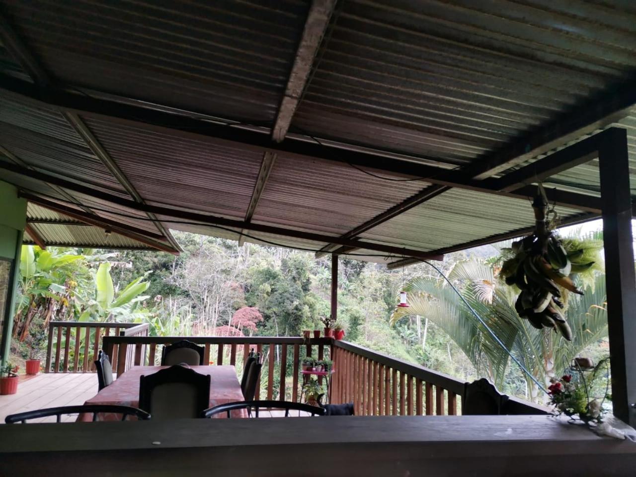 Bella Vista Guest House Turrialba Exterior foto
