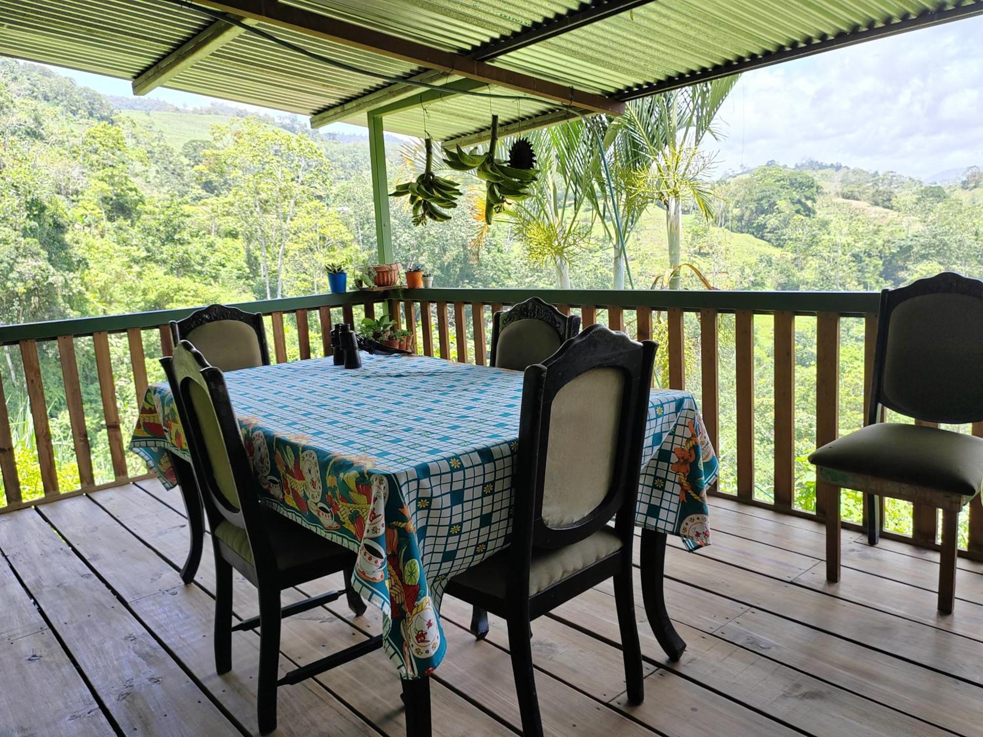 Bella Vista Guest House Turrialba Exterior foto